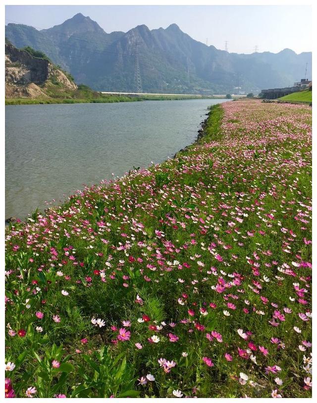 苍南县百里平水公园