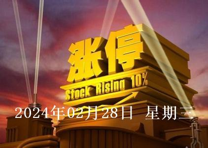 2024年2月28日涨停板个股涨停原因揭秘|机器人概念|涨停|食品饮料