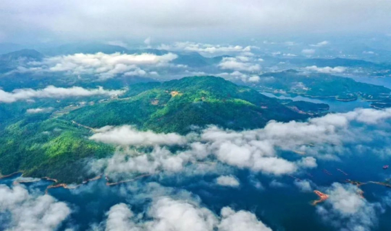 花亭湖风景名胜区是国家4a级旅游景区,规划面积257平方公里.