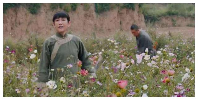 《白鹿原》：十亩罂粟种三年，白家靠此翻了身，朱先生奉命除恶果