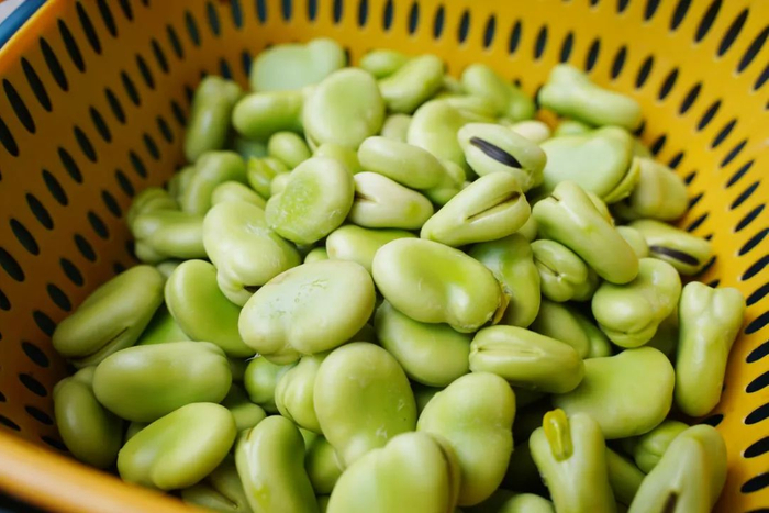 唑酮适宜人群:消化不良者,小便不利者,水肿胀满者禁忌人群:蚕豆过敏者