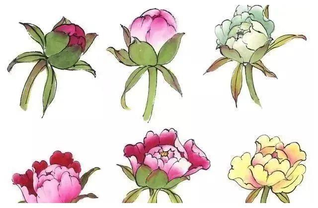牡丹花头和花叶的三十种画法，学画牡丹不用愁！