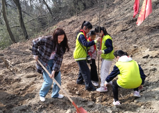 武汉江夏明熙小学开展学雷锋建设美丽家乡活动|家乡|小学|小树苗_新浪
