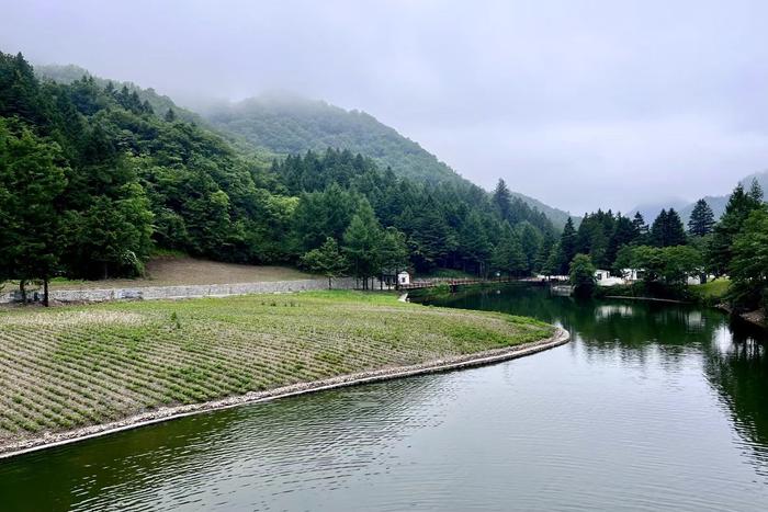 神农天池景区·(神农架林区松柏镇)