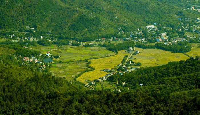 安徽安庆宜秀区杨桥镇:逐"绿"而行 绘就生态宜居新图景|杨桥镇|宜秀区