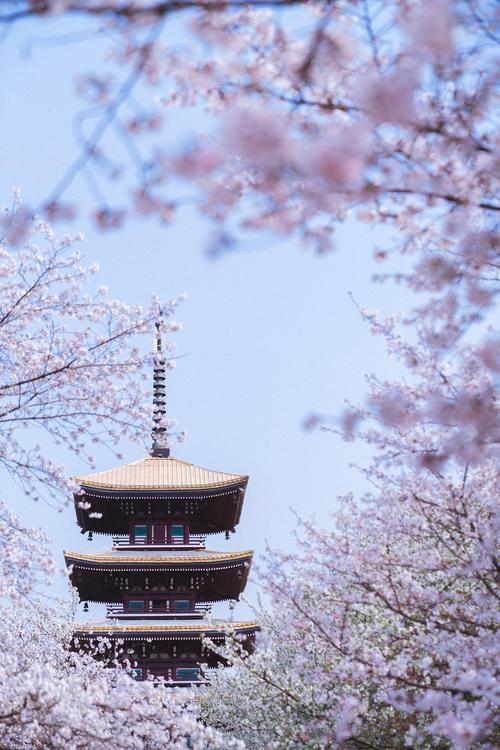 武汉春日旅游