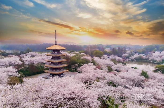 武汉春日旅游