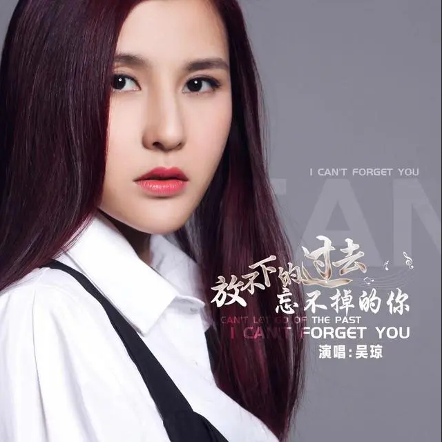 歌手吴琼单曲《放不下的过去忘不掉的你》全网上线 好评如潮