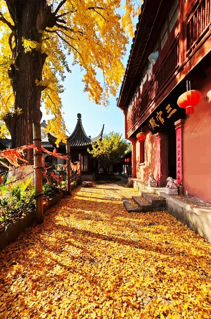 深秋的常州白龙观是横山桥古镇最美的文案
