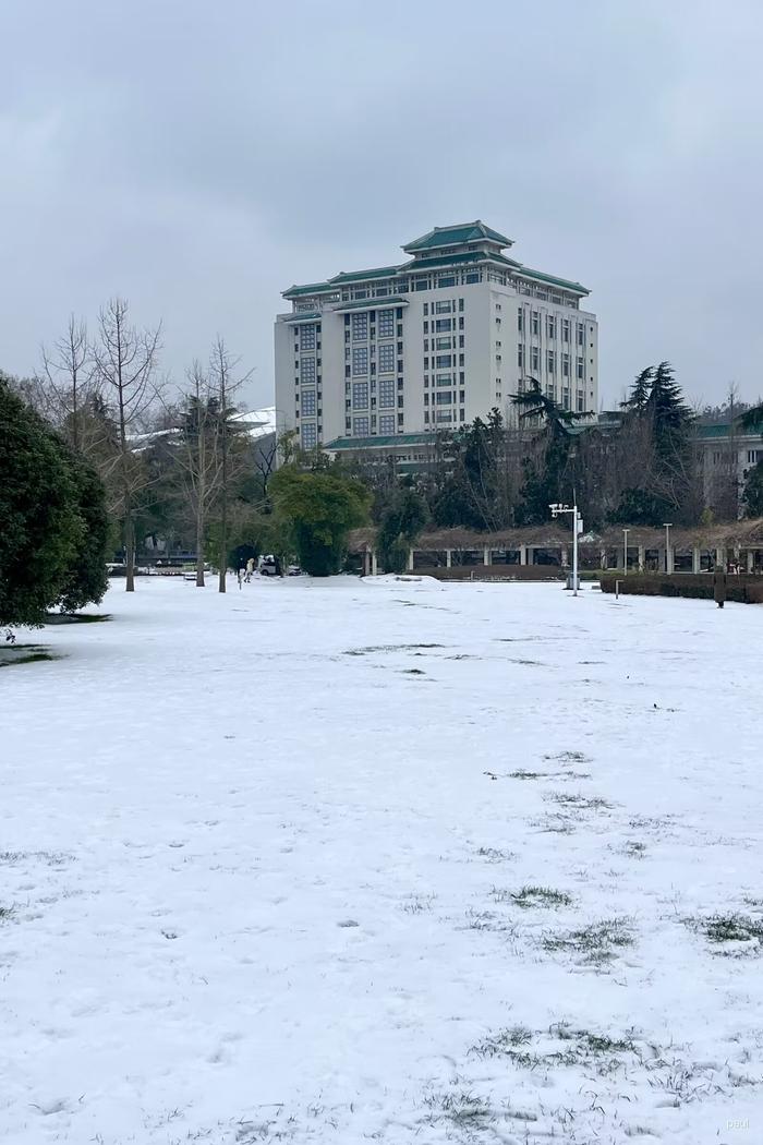 珞珈山的雪武汉大学樱花城堡