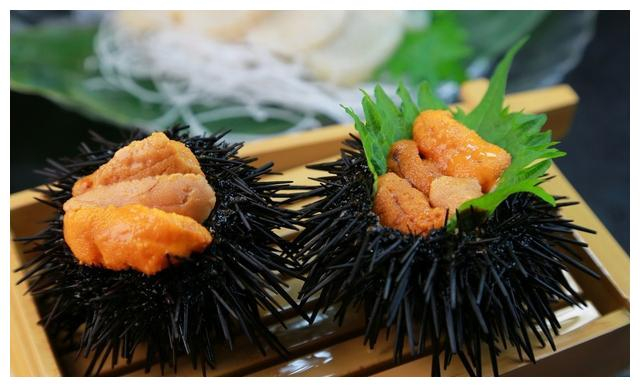海胆还有分公母?哪种海胆最好吃?海胆怎么挑选?|海胆|紫海胆|公母|海胆黄|马粪海胆_新浪新闻