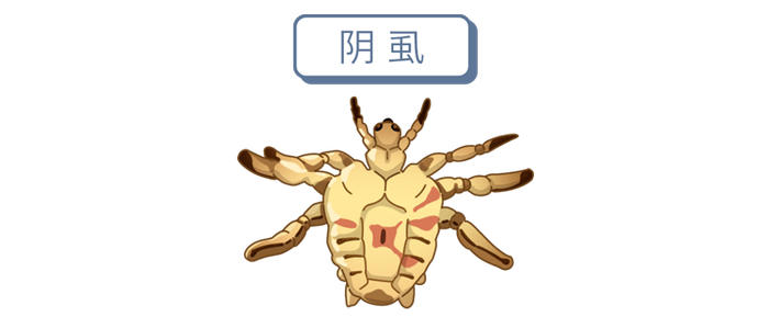 原来阴虱有3个传播途径|阴虱|私处|皮肤_新浪新闻