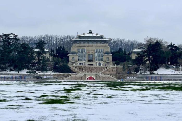 珞珈山的雪武汉大学樱花城堡