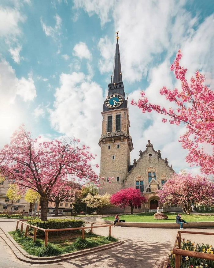 上海66苏黎世航班将增至每日运营苏黎世赏花正当时