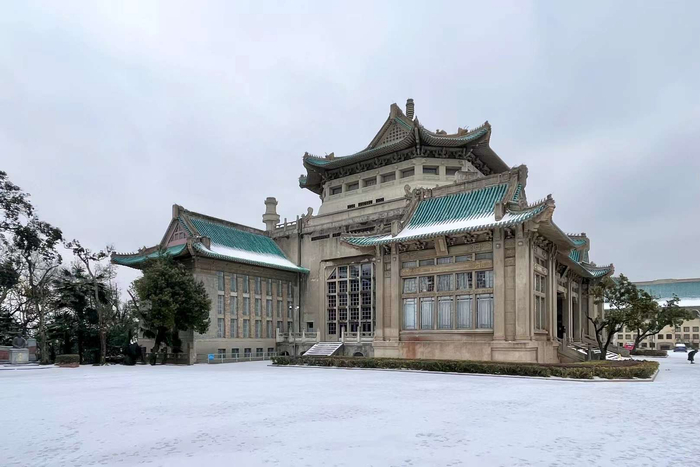 珞珈山的雪武汉大学樱花城堡