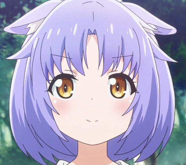 山田猫猫表情包
