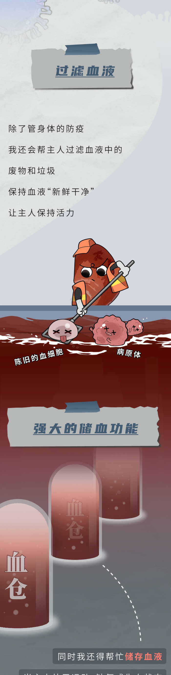 看完涨知识了|脾脏|医学论坛|黄志强_新浪新闻