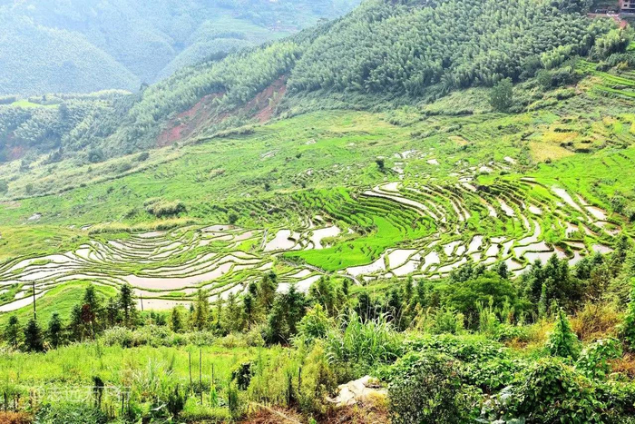 三明千年梯田国稻种芯中国水稻节福建尤溪粮农科技产业园景