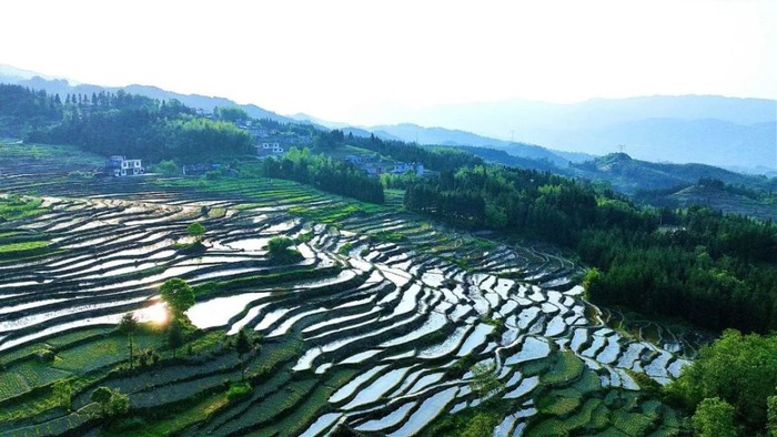 三明千年梯田国稻种芯中国水稻节福建尤溪粮农科技产业园景