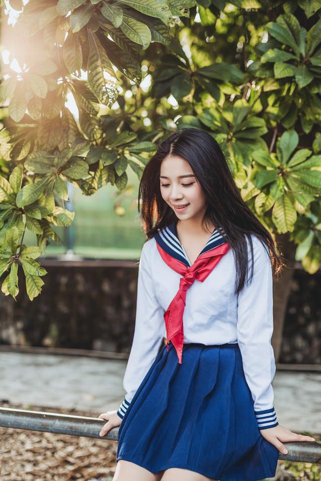 台风竹节草