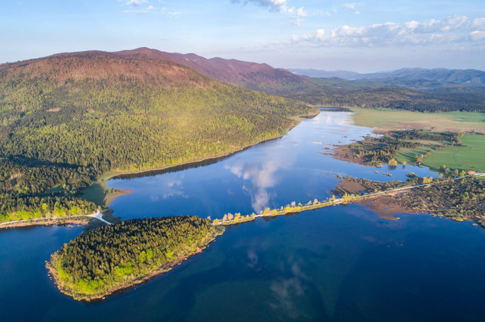神奇动物在哪里?斯洛文尼亚旅游之野生动物寻踪|斯洛文尼亚|野生动物|