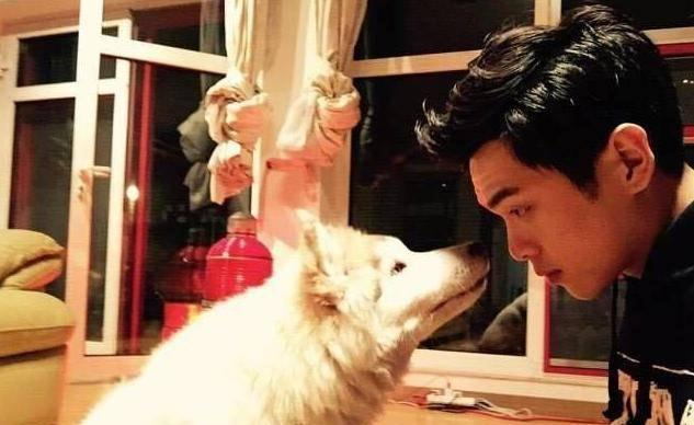 晒晒张若昀现实中的家唐艺昕真顺着他意家里弄得像个乡村小屋