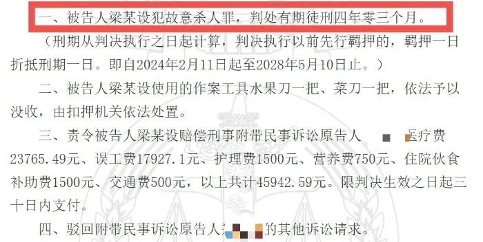 女友拒赴男方家过年遭捅刺!男子获刑四年三个月|梁某设|微信|社会负面|房租|山东省_新浪新闻