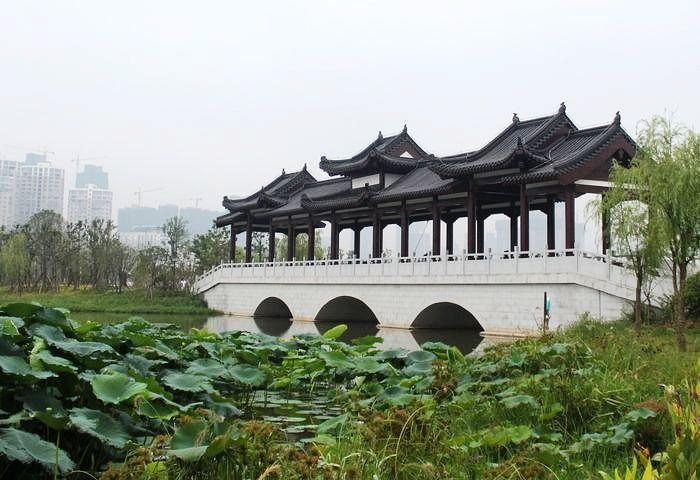 武汉旅游沙湖公园野餐