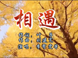 李霄雯等演唱的《相遇》旋律优美、歌声醉人、情深意浓、感人至深