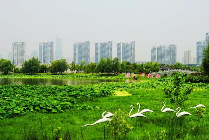 武汉沙湖旅游景点介绍图片