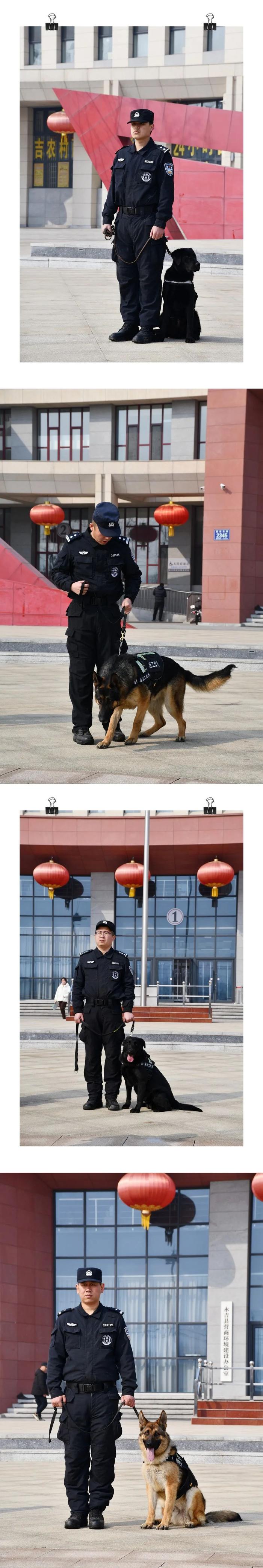 大型警犬图片 警察图片