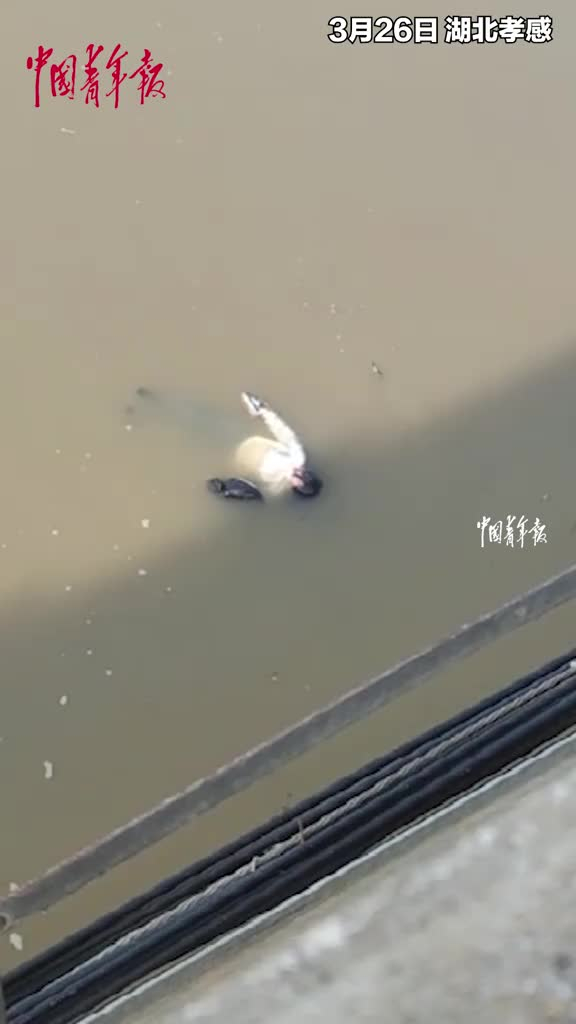 女子落水情况危急63岁退伍老兵从10多米高的桥上纵身一跃