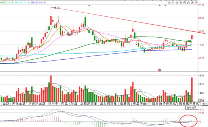 谷歌大模型爆ai应用 7家a股合作方实锤 资金已提前抱团抢筹