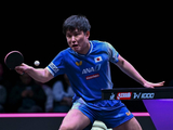 直板智慧！港乒老将3-1拆解张本智和，以快制快打出教科书级胜利