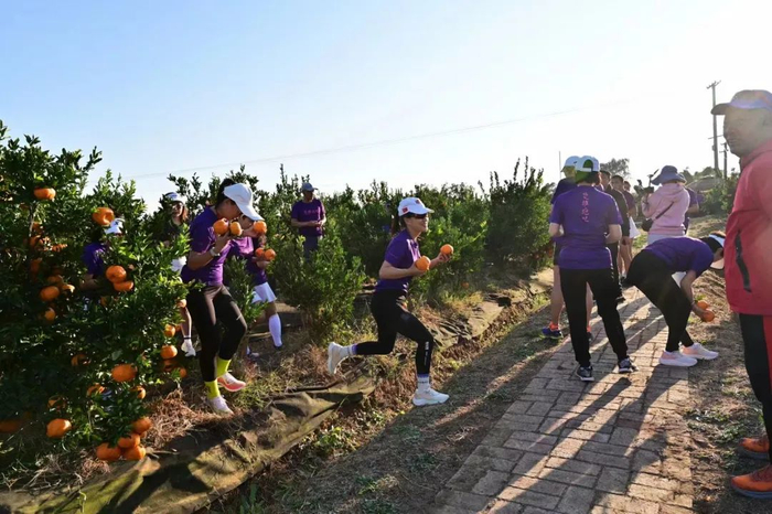 楚雄州永仁县莲池乡水果采摘园通过丰富水果品种,美化环境,修建采摘
