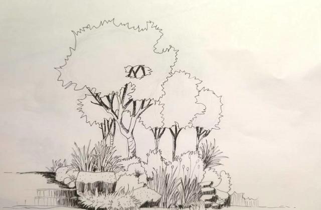 素描名画三棵树图片