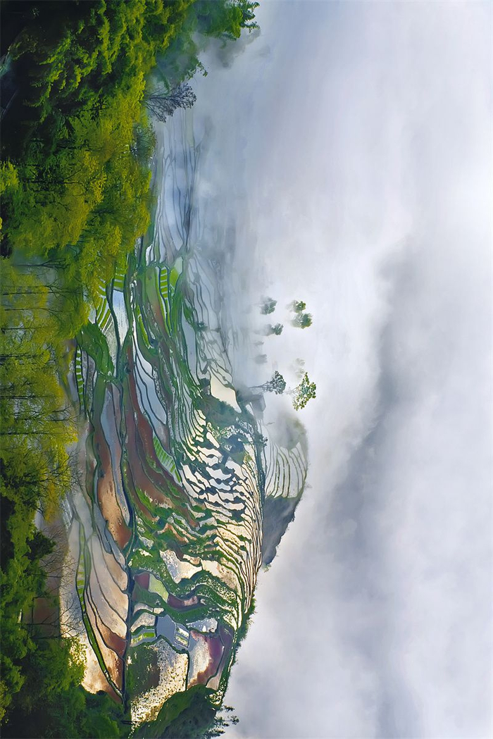 红河的春天吓呆我|泸江公园|屏边大围山|红河_新浪新闻