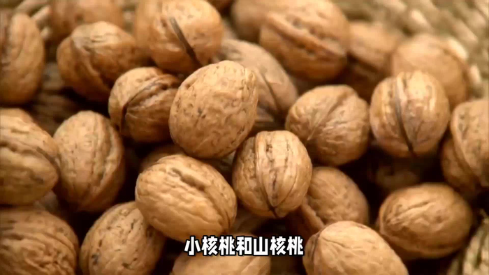 小核桃和山核桃区别