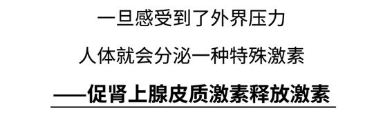 为什么身边有人你就尿不出来？膀胱害羞综合征，想尿尿不出的悲伤