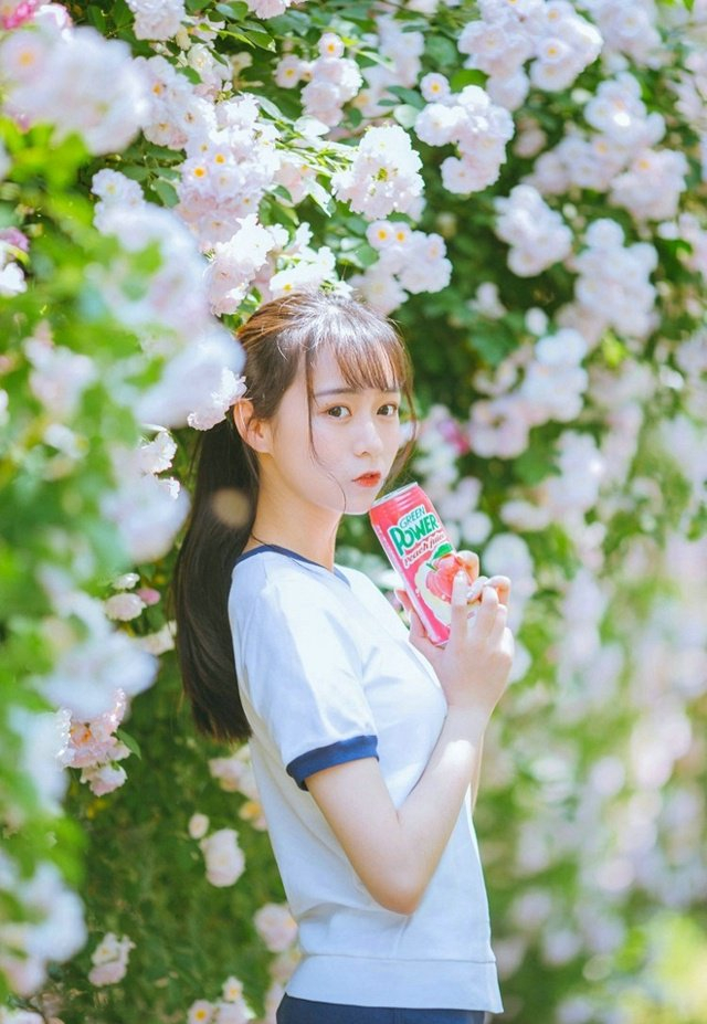 校园蔷薇花开靓丽少女自信阳光写真