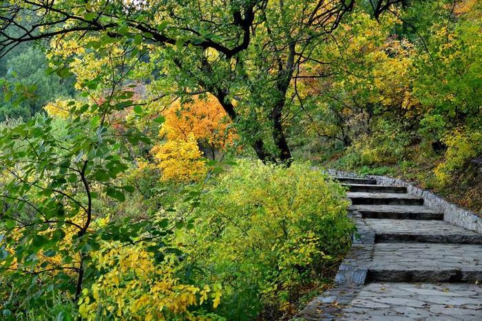 京郊的香山公園冬季遊覽有哪些讓人震撼的景觀