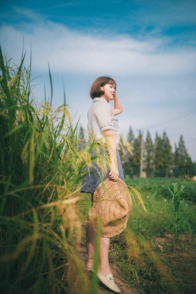 清纯短发女孩稻田阳光俏皮唯美写真