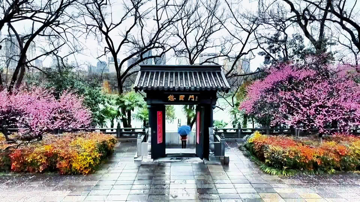 合肥包公园清风阁梅花喜迎客