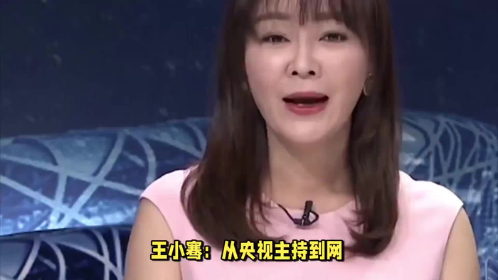 前央视主持人王小骞国外宣传转型新领域