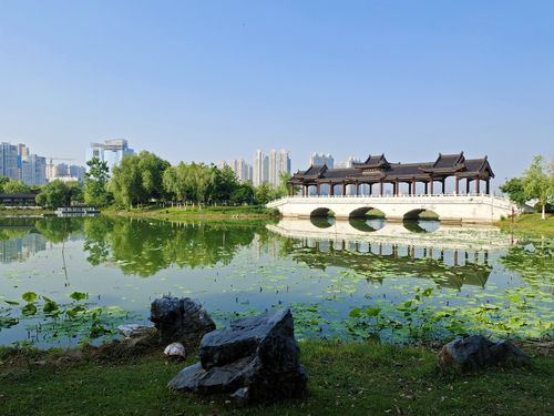 武汉赏花旅游-----沙湖公园花坛花香四溢