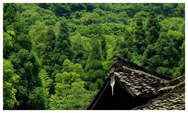 成都周边这6个清凉耍水地,看完明天就去|芦沟竹海|邛崃|成都_新浪新闻