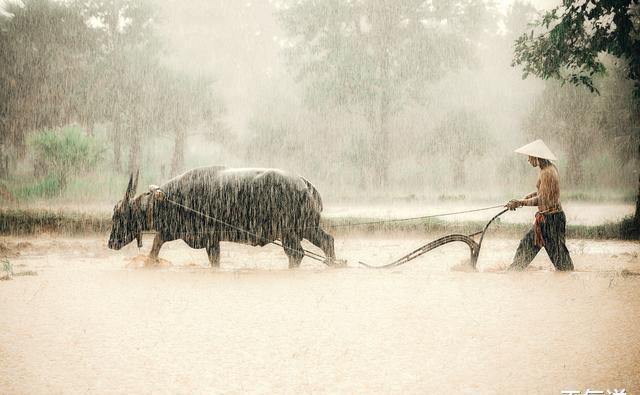 明天后天新一輪中雨大雨暴雨持續不休息天氣預報