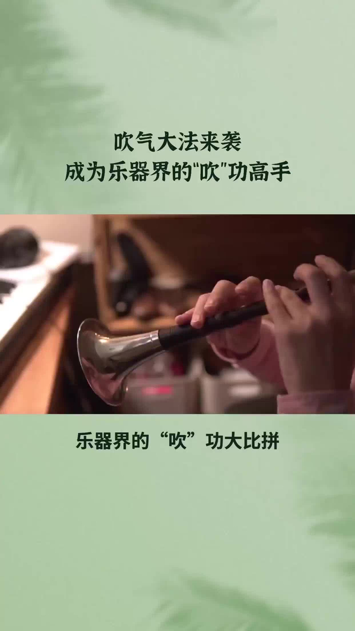 用嘴吹的乐器大全