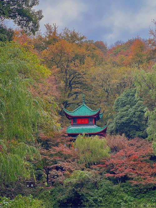 岳麓山,长沙赏花旅游的享受