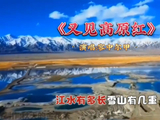 藏族歌手容中尔甲唱的《又见高原红》，听了如身临其境，陶醉其中